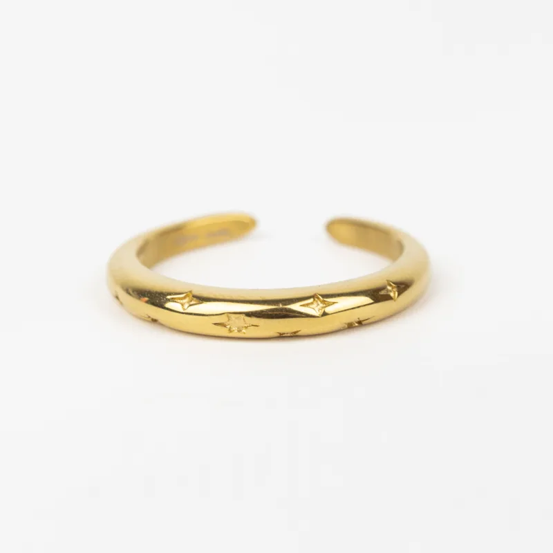 ANILLOS BAÑADOS EN ORO